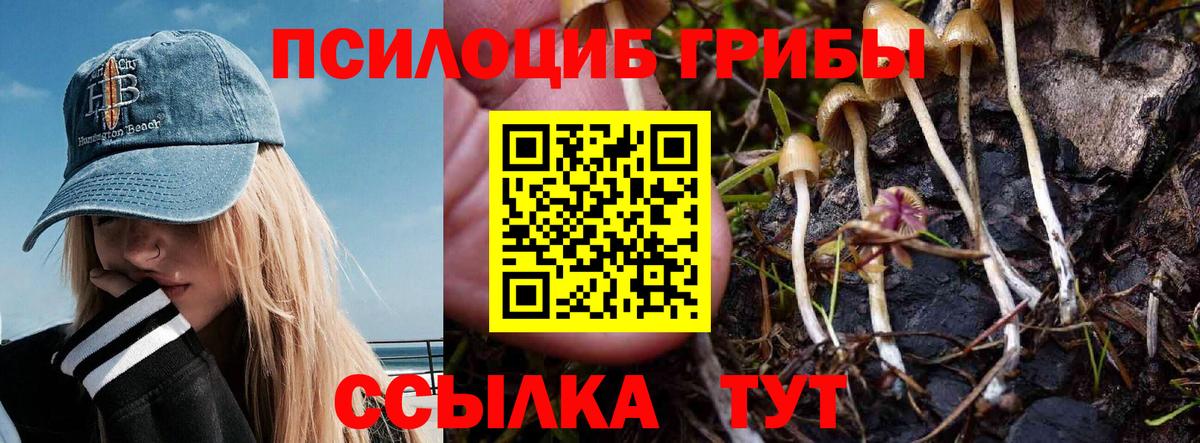 Галлюциногенные грибы прущие грибы  Псилоцибиновые грибы Psilocybe  Вход с VPN  Тула 