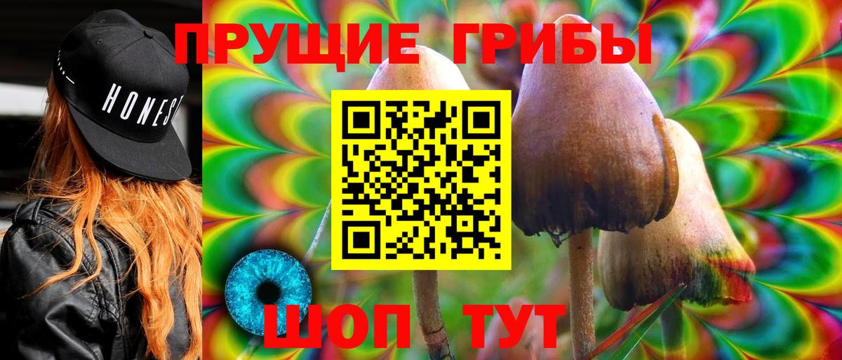 Псилоцибиновые грибы Psilocybine cubensis Тула